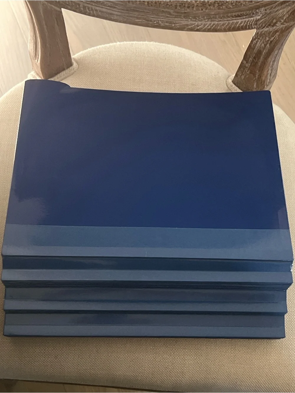 lSuze Orman Protection Portfolio filing system